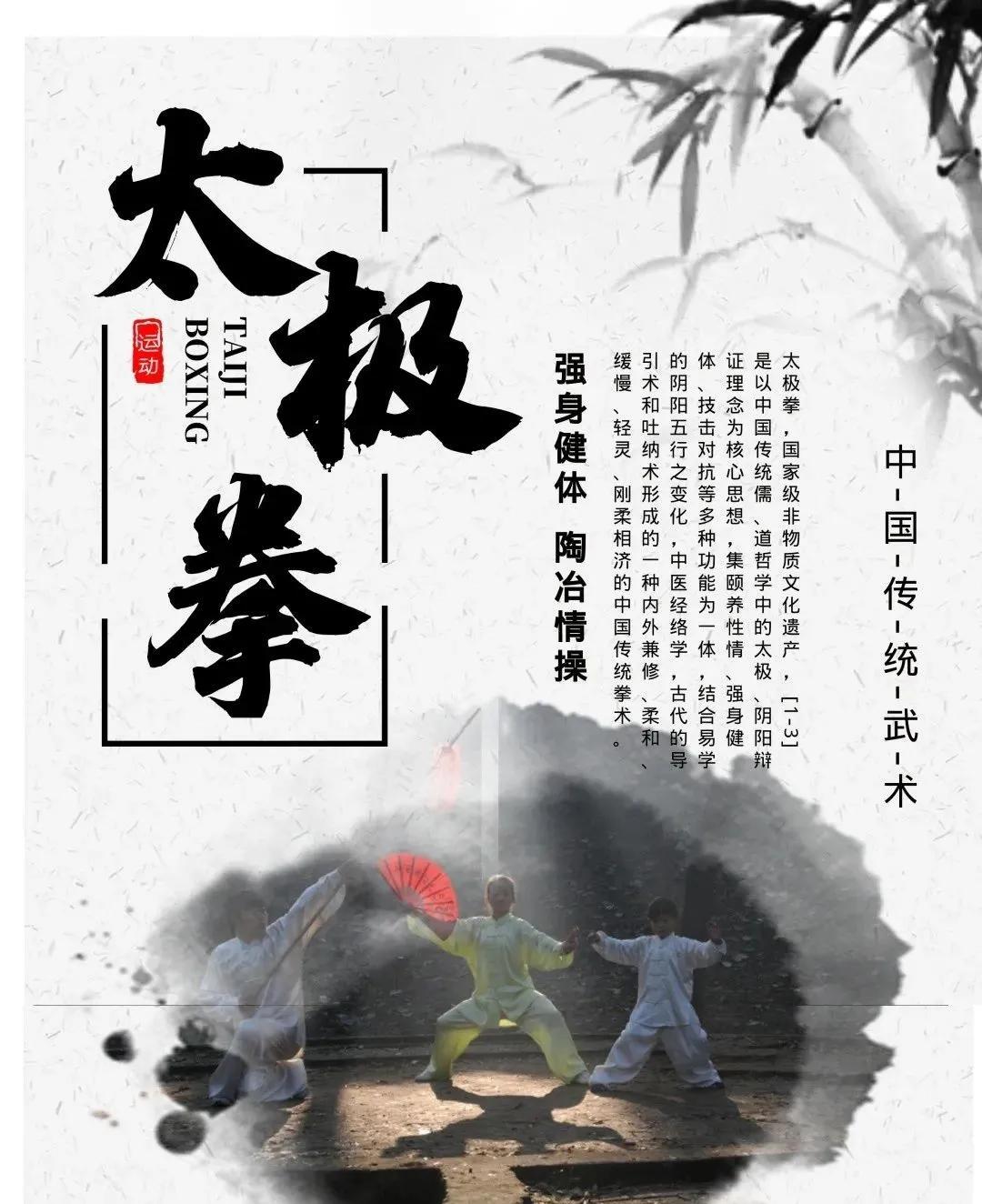 陈家沟武术表演,传统武术陈家沟