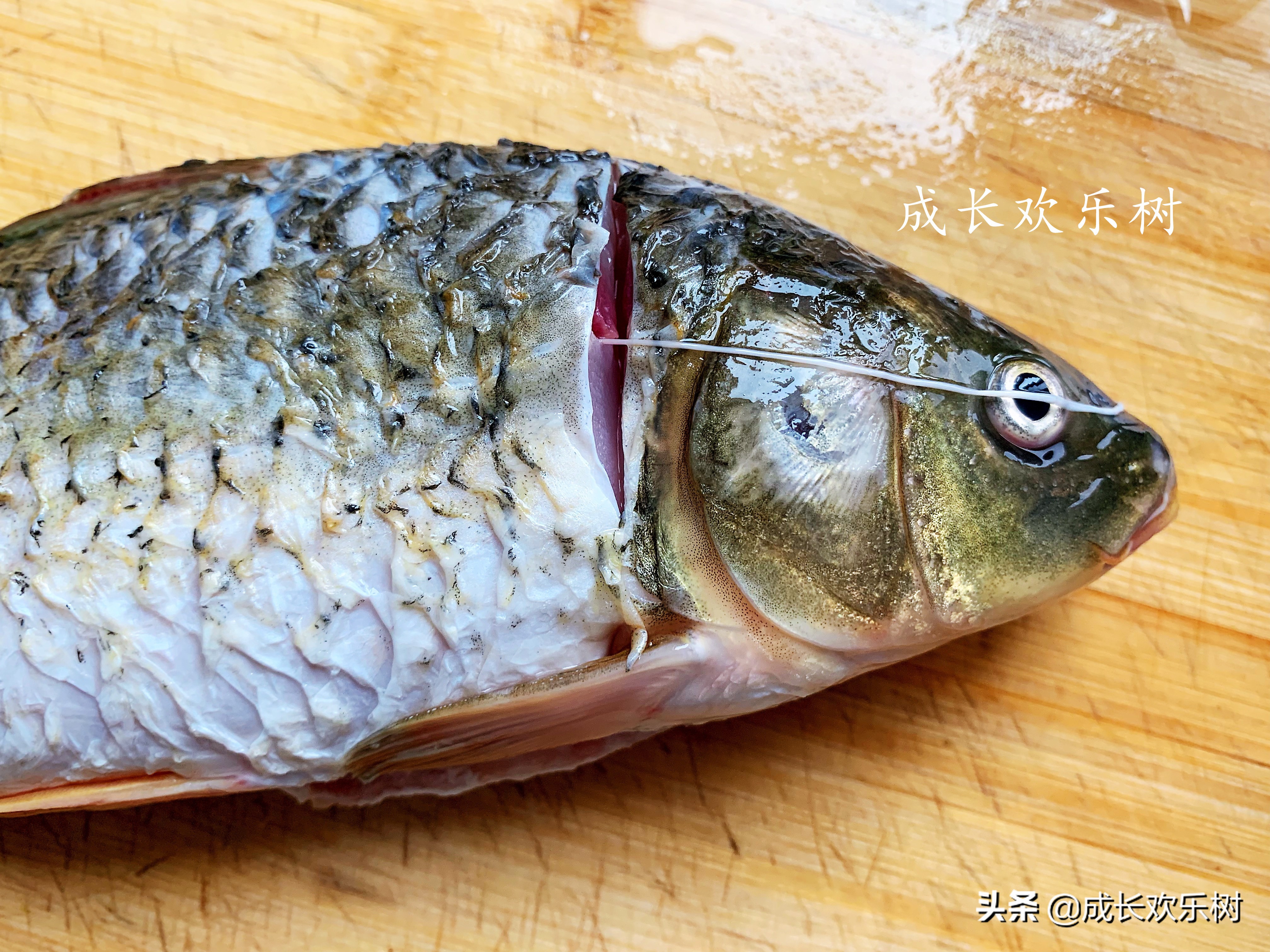 鲫鱼鱼腥味太重怎么处理,鲫鱼腥味怎么去除