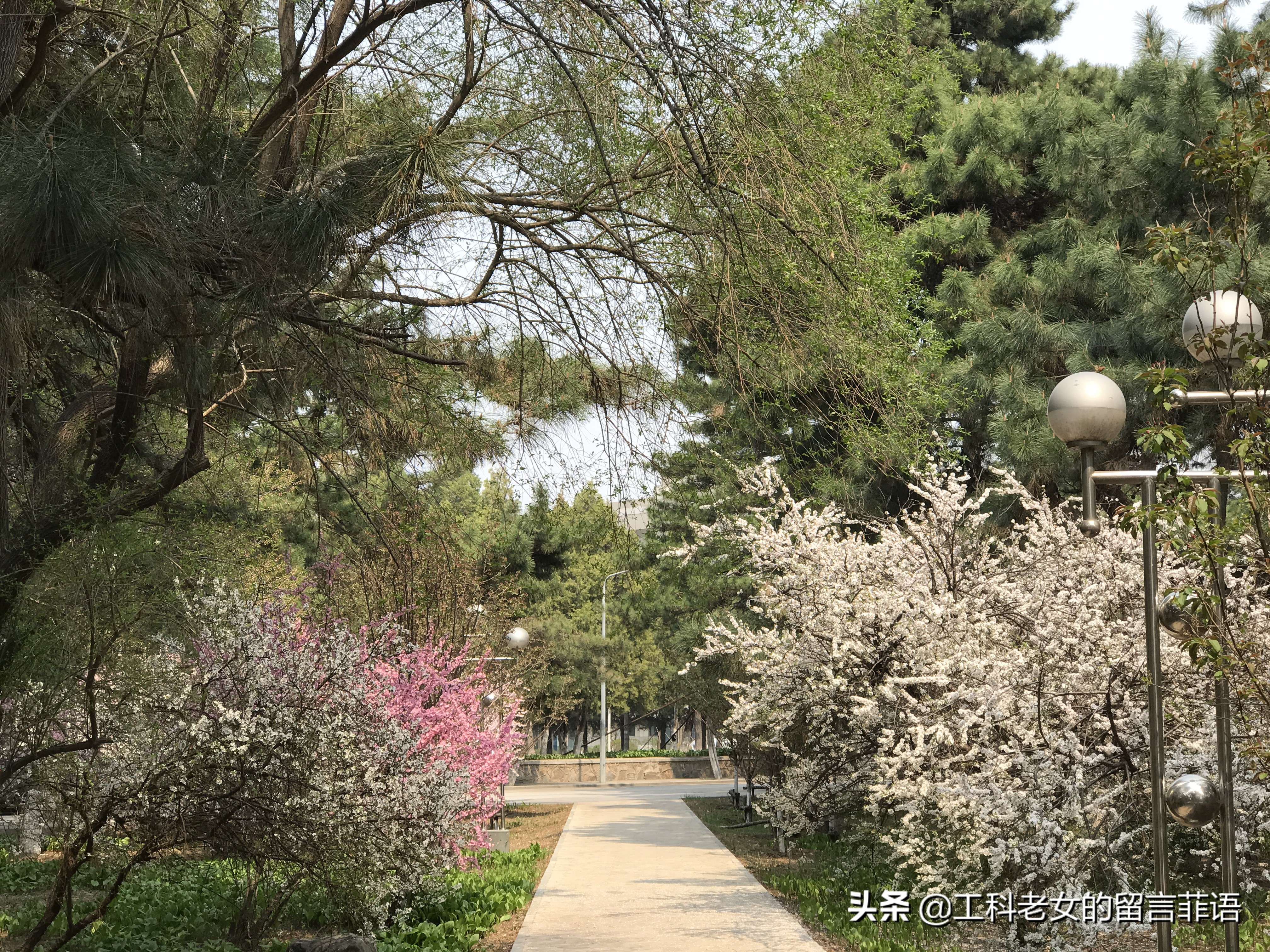 带你领略自然美,带你领略春天独有的浪漫