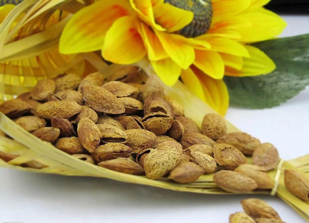 甘肃巴旦木适合种植吗,巴旦木是野生还是人工培育