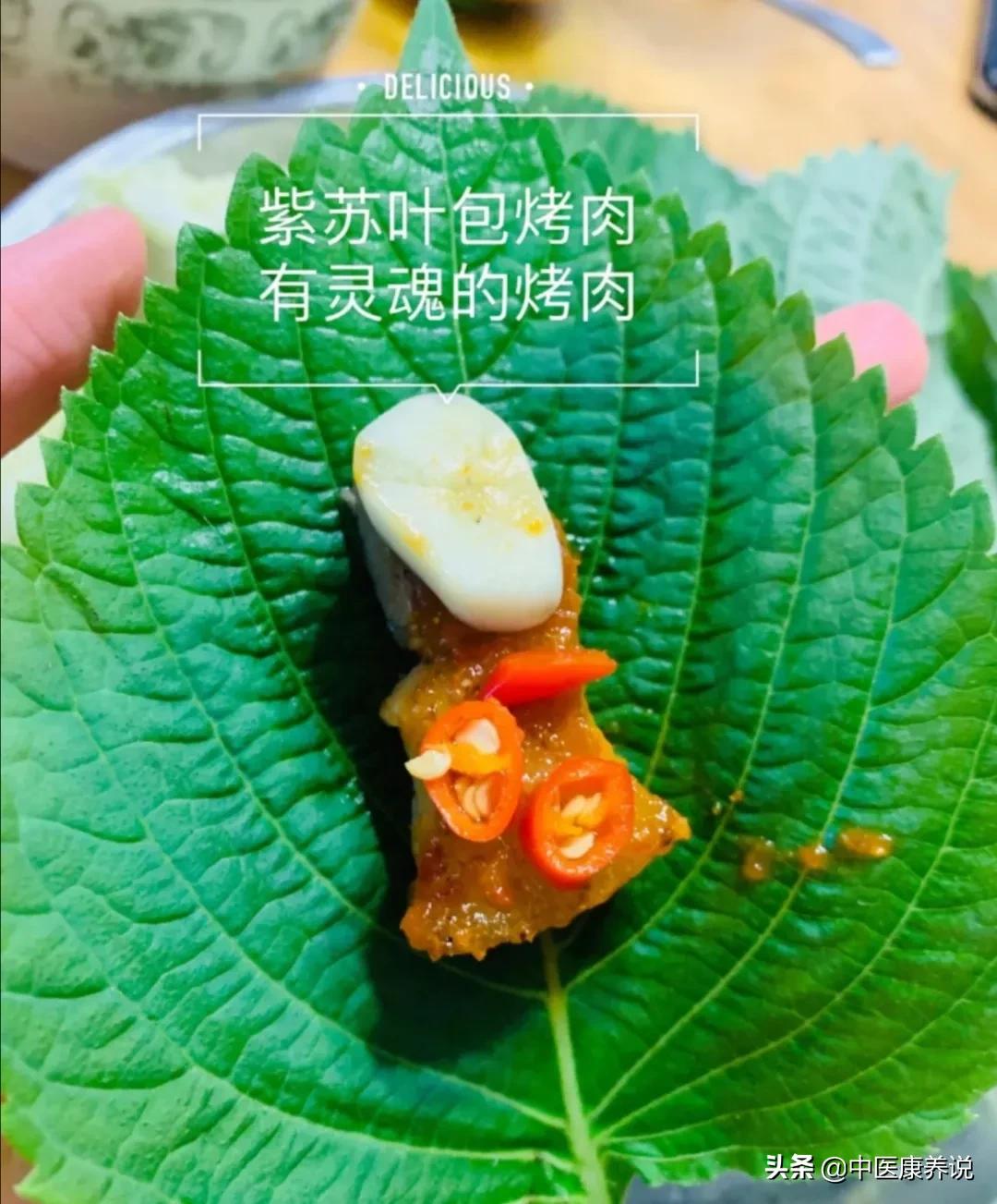 紫苏叶药食同源,药食同源紫苏叶