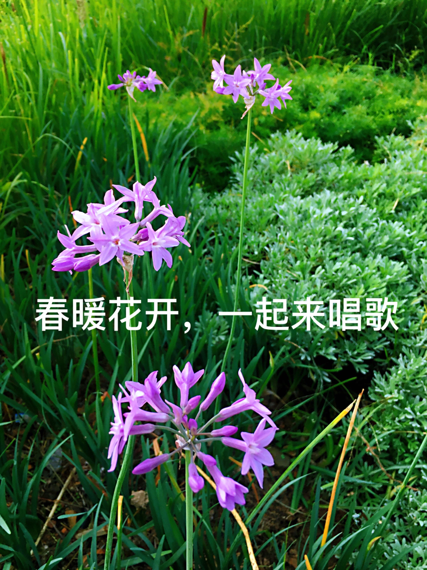 最受欢迎十首英文儿歌,简单又好学的十首英语儿歌