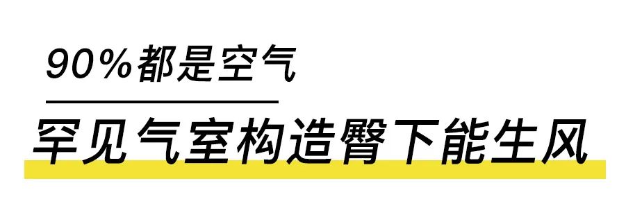日本发明黑科技坐垫,日本顶级黑科技座垫