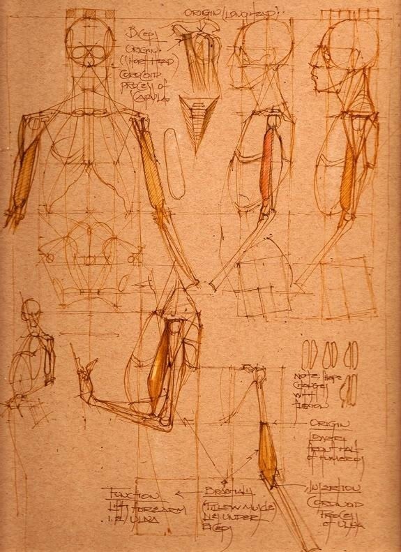 透视表现空间的基本方法,透视解剖学原理书籍