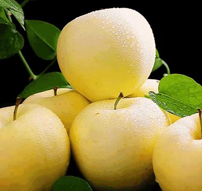 小时候吃的又黄又大的苹果,山东人小时候最爱吃的