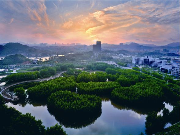 是鸡腿还是鸡肋，权威解析大亚湾（连载二）