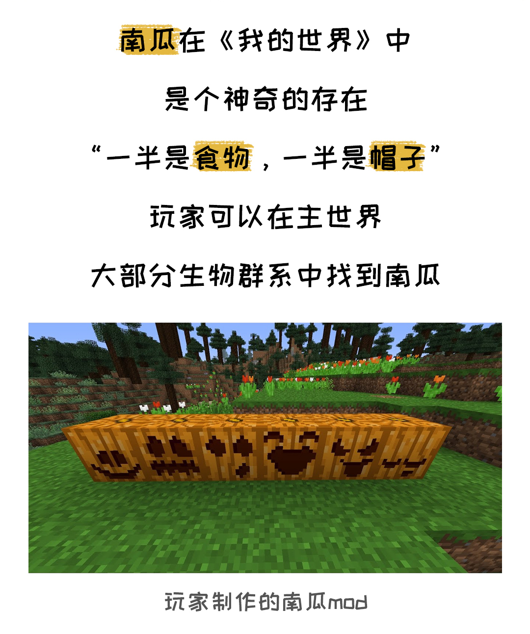 万圣节为什么要用南瓜灯,万圣节为什么到处都挂着南瓜灯