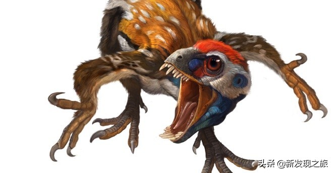 生物进化史最具代表的事件,生物进化史的意义