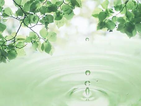 读林家铺子的感悟,林家铺子读后感