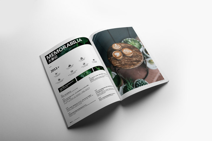 深圳企业宣传画册制作流程,深圳企业宣传册设计案例