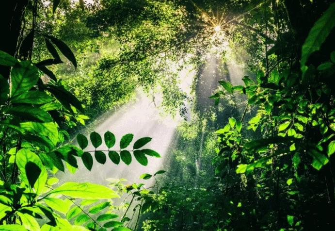 中国云南哪里好看,云南的云彩为什么好看