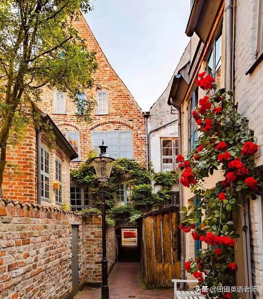 小学日常英语口语900句必背,小学常用英语口语1000句视频