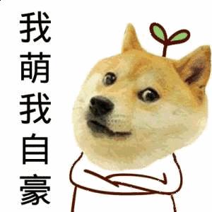 血泪教训有什么禁忌,血泪的教训告诉你