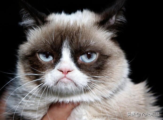 新手购买笔记本电脑推荐,大一新生有必要买笔记本电脑吗