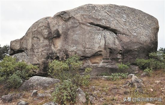 泉州带虎的地名,泉州奇葩地名