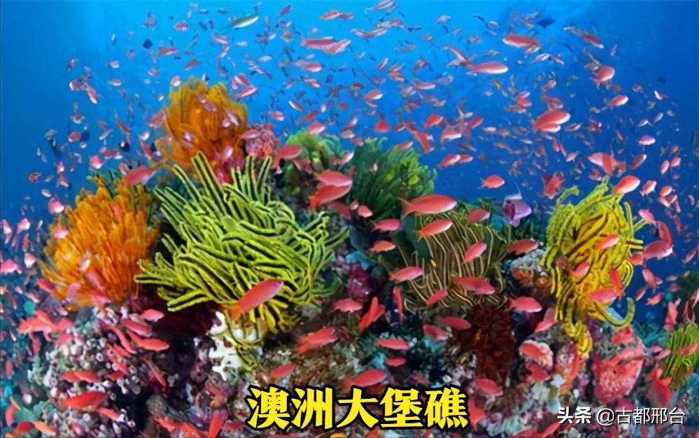 澳大利亚地图为什么没有全面展示,世界版图澳大利亚