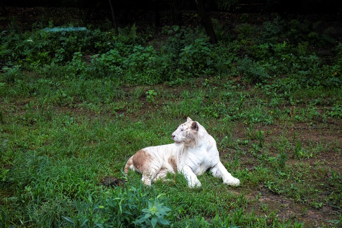 儿童亲子游怎么玩,室内亲子游必玩100例