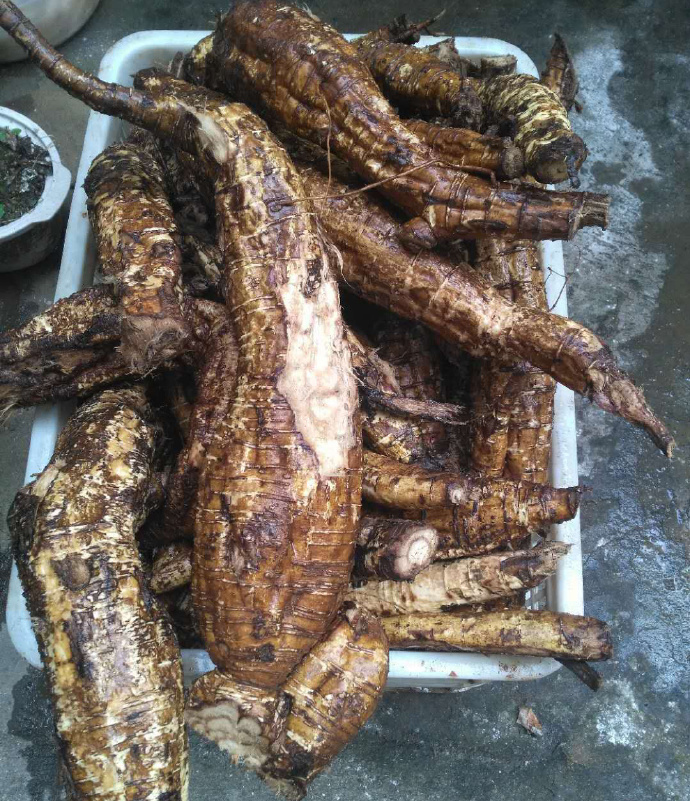 野生葛根粉的价钱一盒多少钱,正宗野葛根粉多少钱一斤