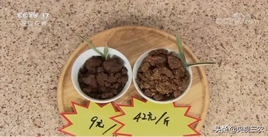 红糖补血吗可以经常喝吗,红糖真的可以补血吗