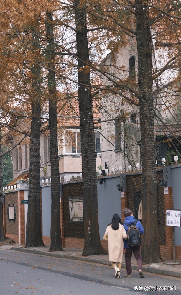 上海浪漫有文艺气息的地方,原来我们上海也有这么浪漫的地方