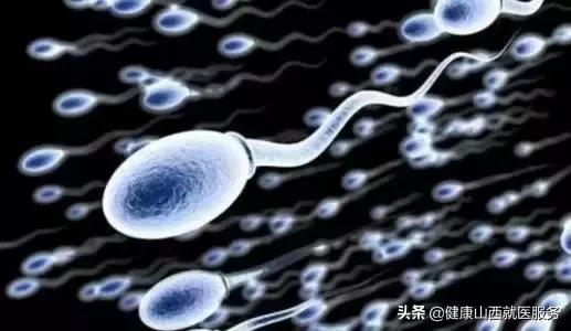 精子死精成活率低应怎么调理,精子是活的还是死的怎么判别