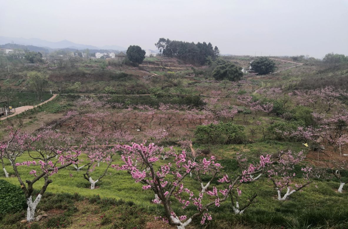 成都周边休闲圣地推荐,成都附近游玩推荐一日游