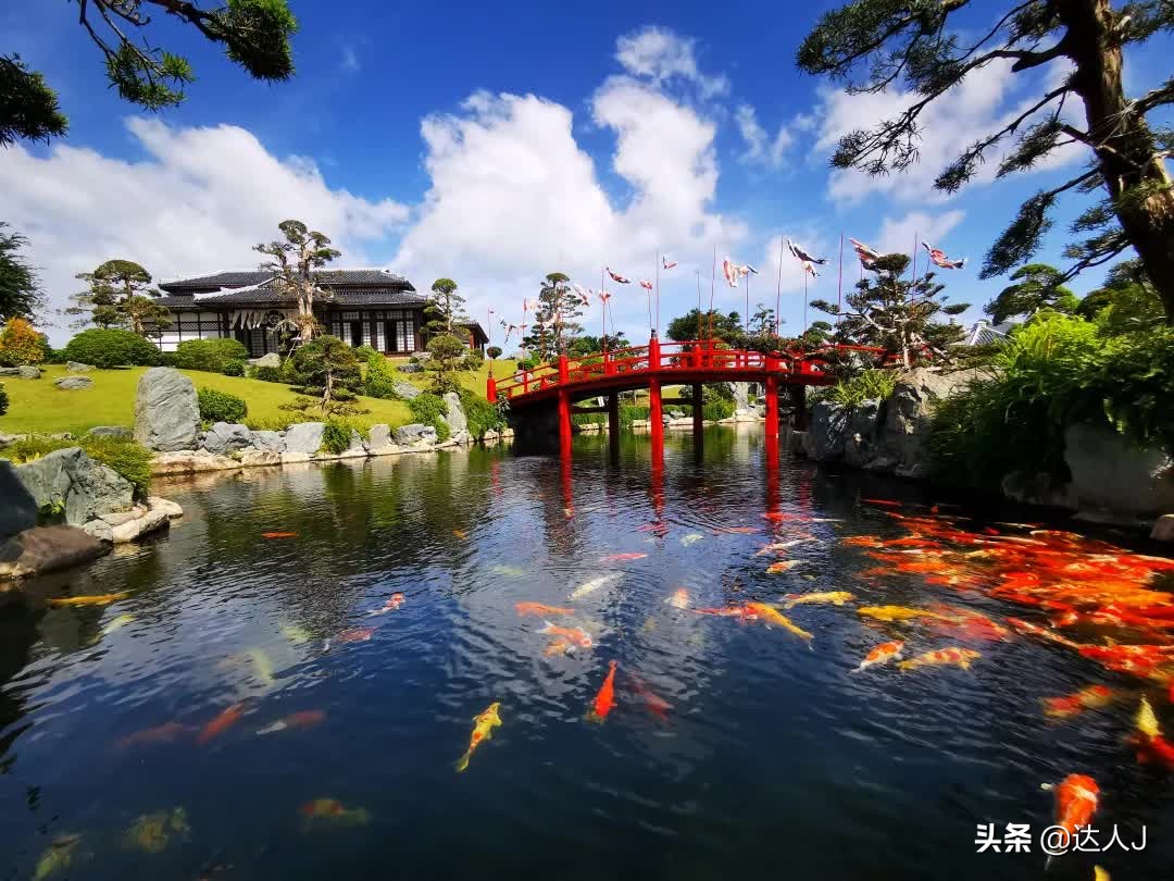 海岛上的梦幻乐园,梦幻海岛主题公园