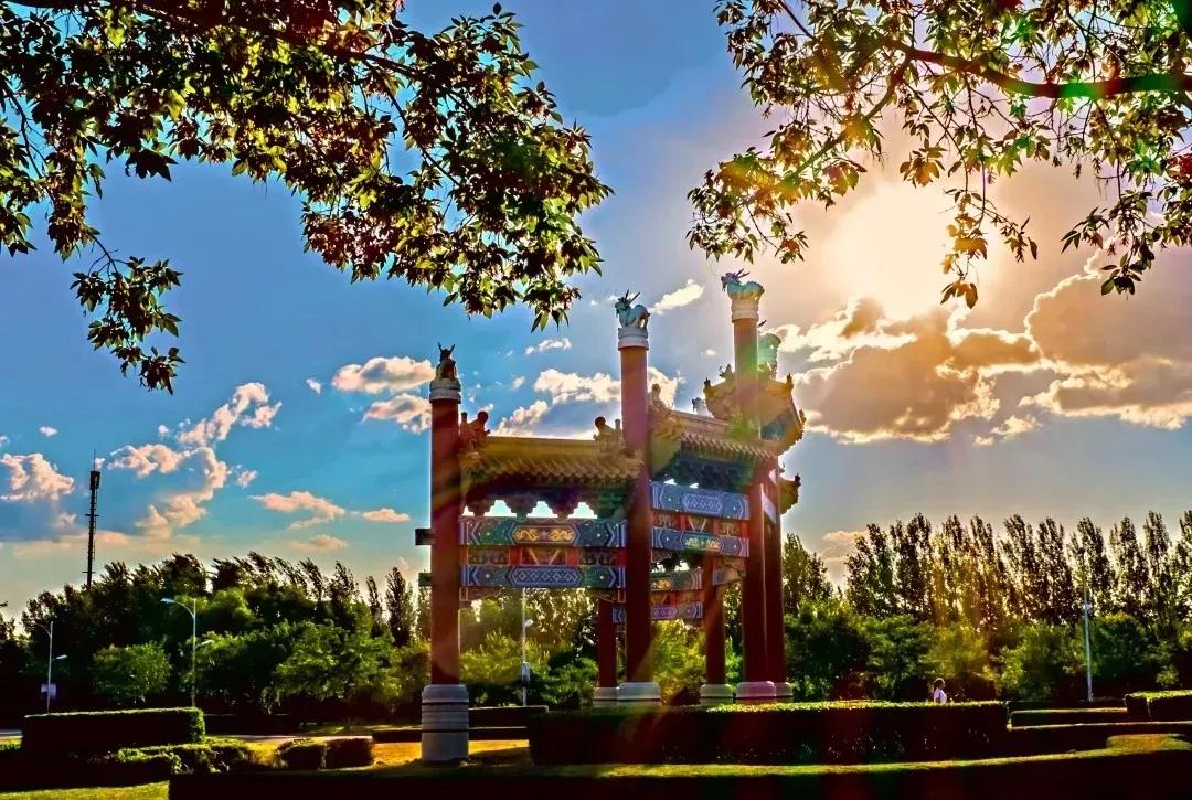 沈阳化工大学辽宁省排名,沈阳化工大学2020招生计划辽宁省