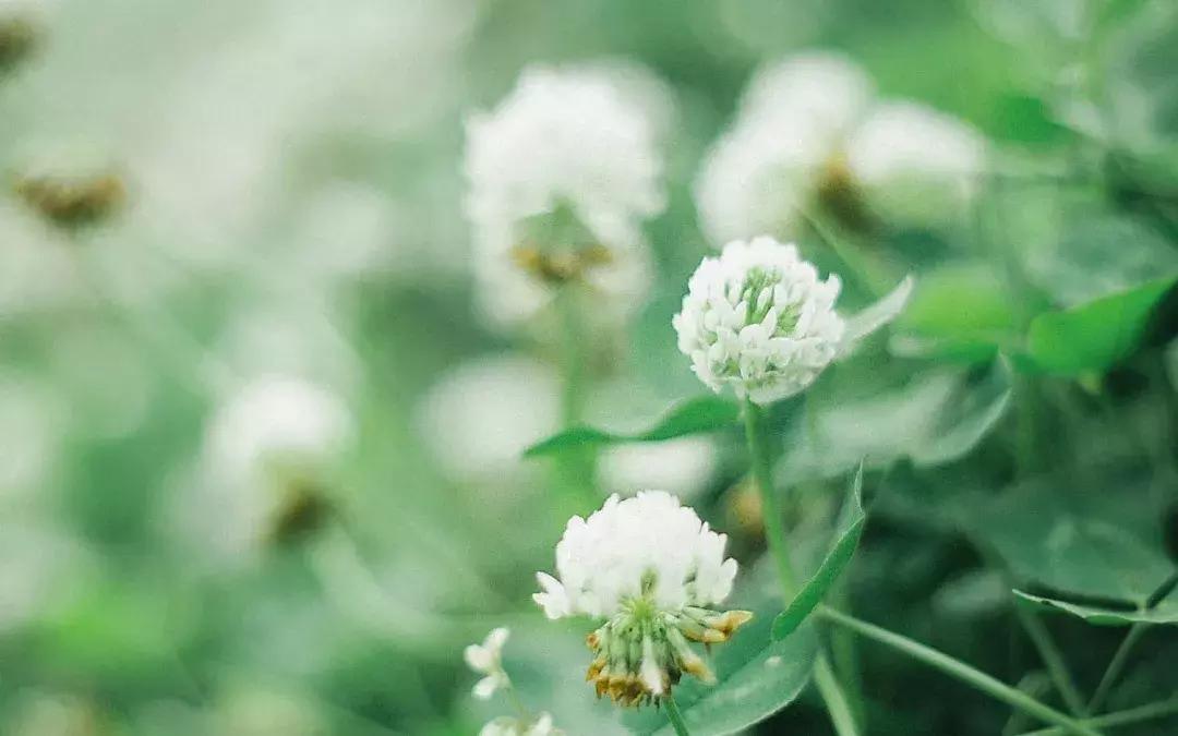 当你一无所有的时候健康是你唯一,当你一无所有的时候谁会帮你