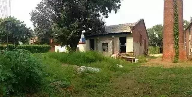 这家破厂房改造的花店,这是北京最美的小花店,明星都来拍照