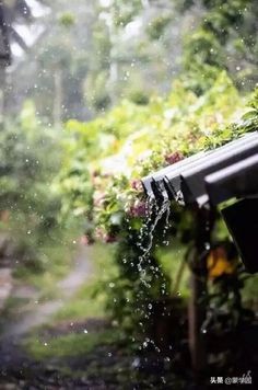 9首诗词9种人生境界你是哪一种,悟透人生的最高境界的诗词