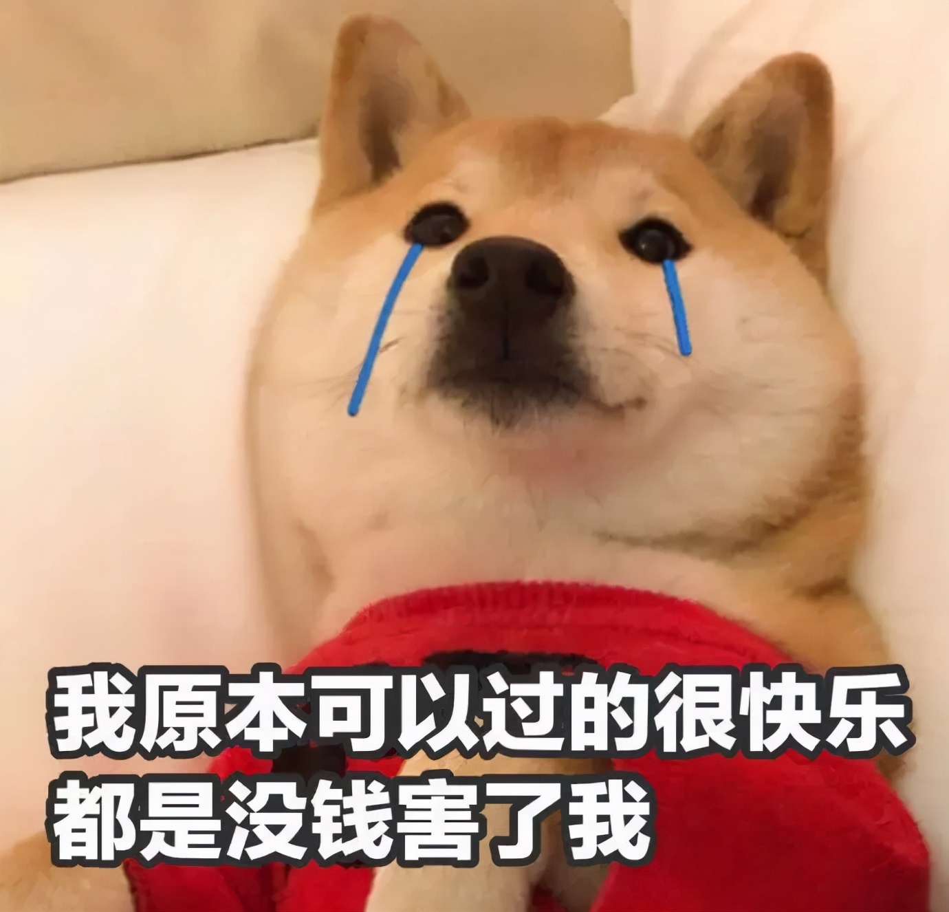 雪花秀润燥精华的正确使用方法,雪花秀单支精华