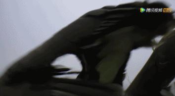 炸裂9.9，BBC再出神片，美得让人脸红