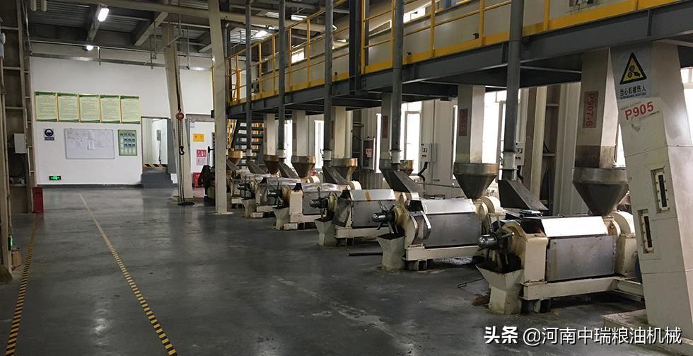 榨油厂的项目价格,榨油作坊投资多少钱