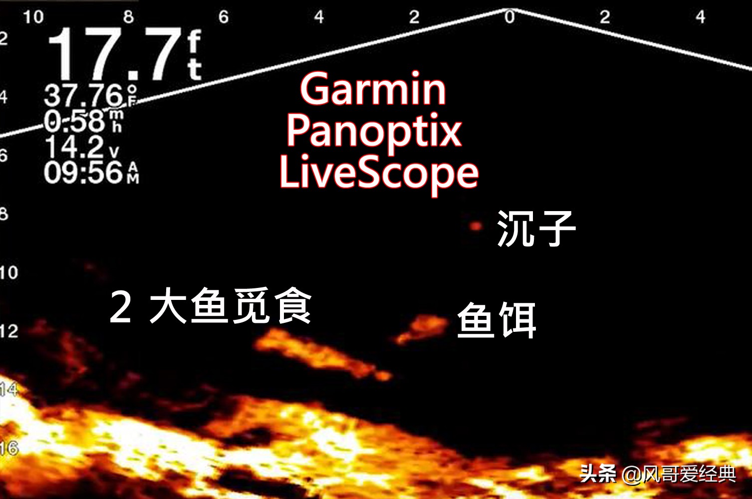 佳明声纳模块,佳明声纳动态