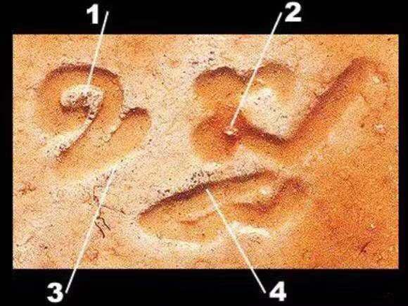 泰国佛教神僧,泰国近代五大圣僧