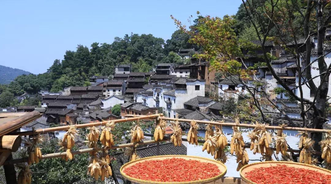 《艺术地产·界》首秀婺源文化之旅与房企大咖共话城市更新