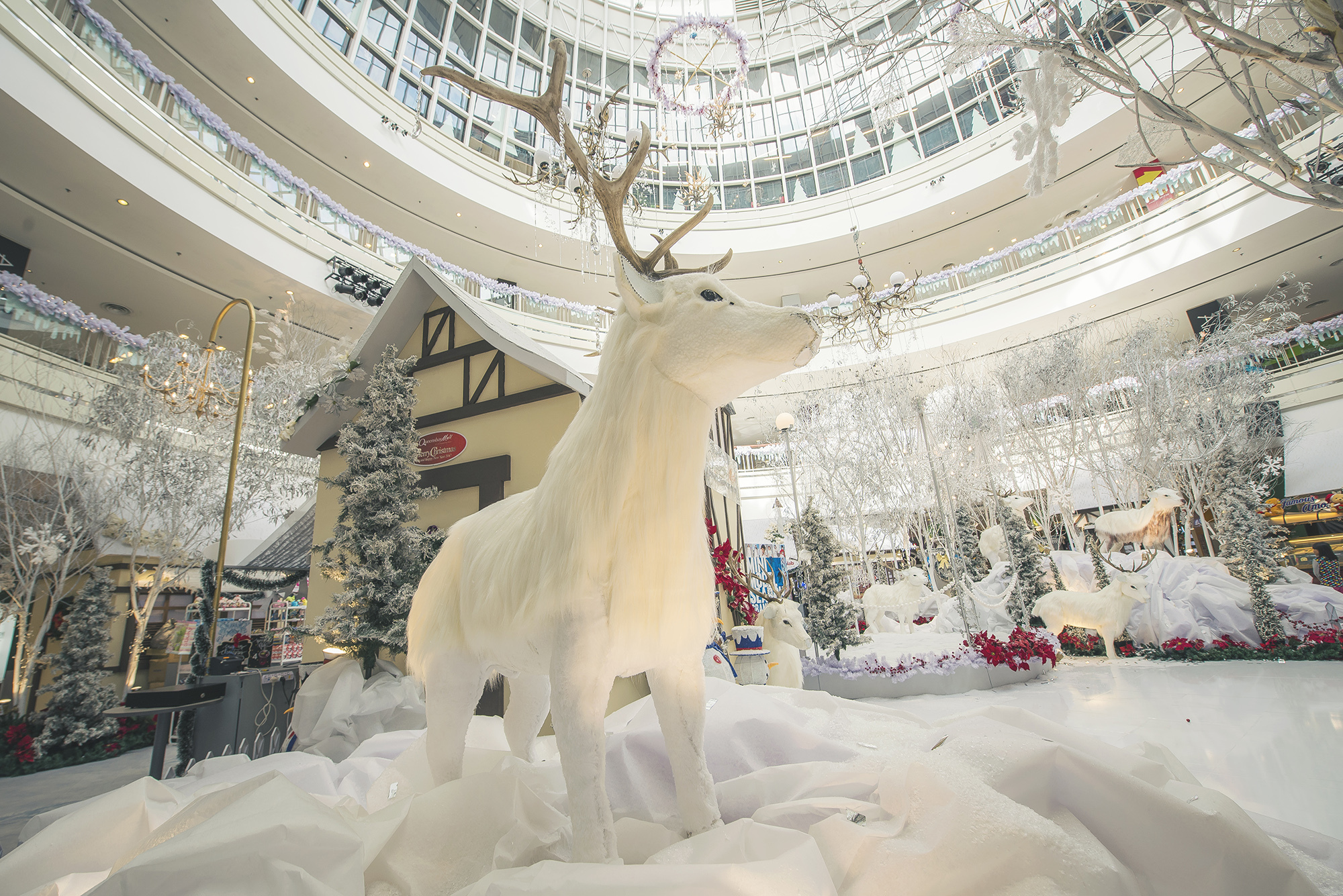 槟城逛街去处,马来西亚槟城哪里购物好
