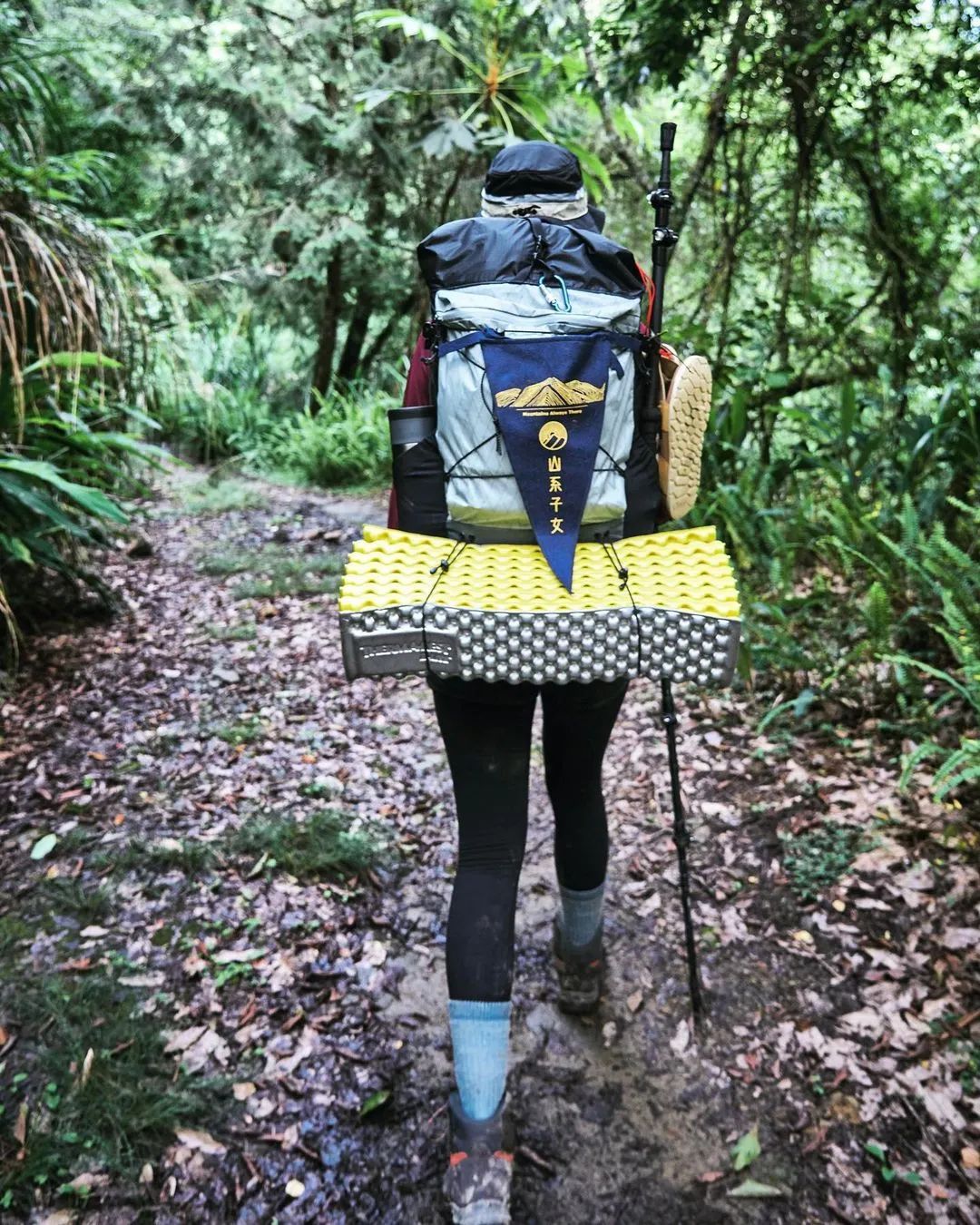 pick好物推荐,pick最好的单品