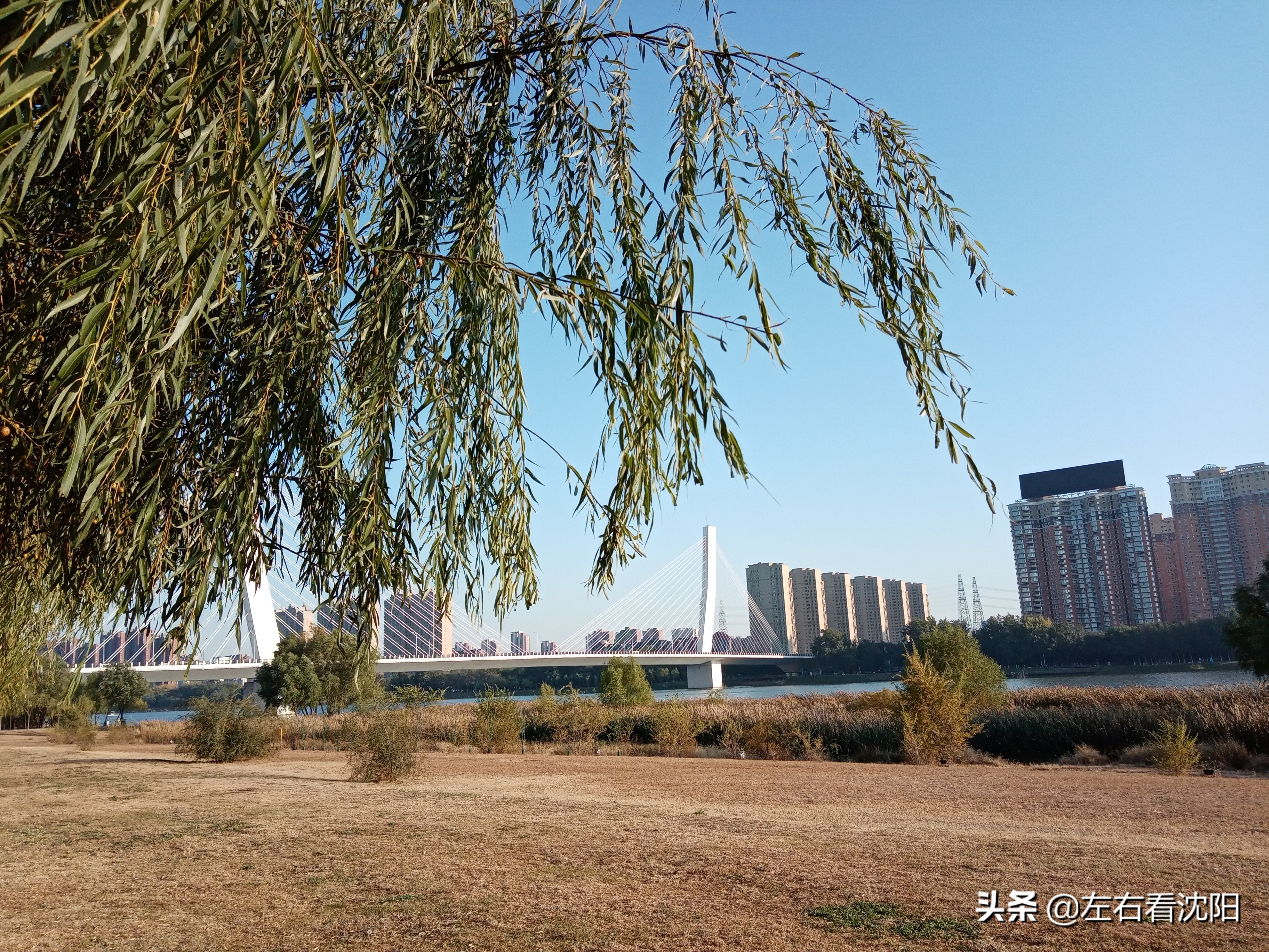 沈阳五里河公园攻略,沈阳五里河公园现在开吗