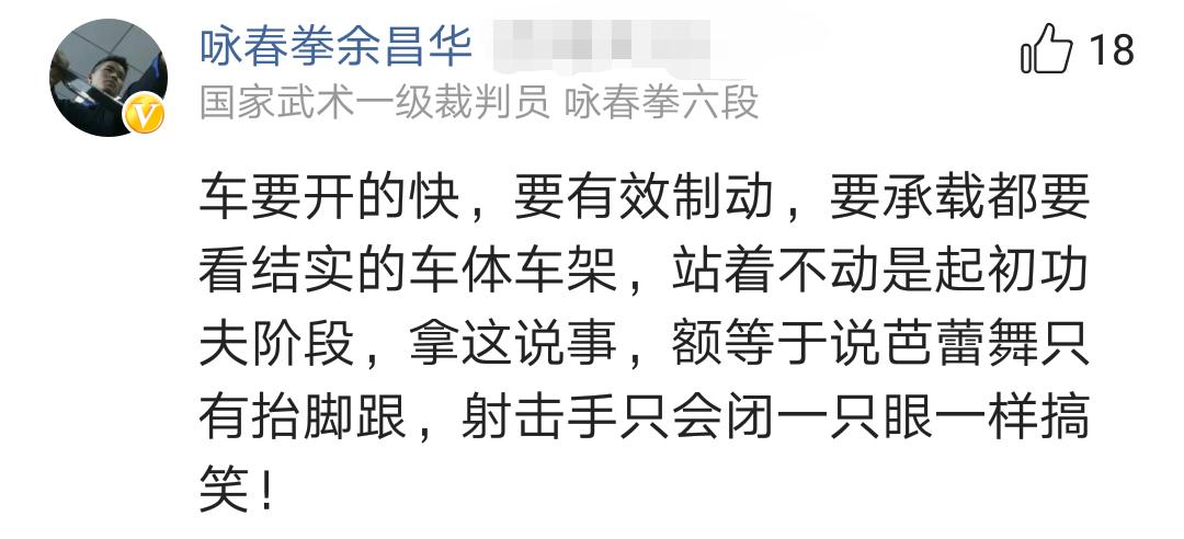 武术大师评价叶问,叶问咏春拳真实实力