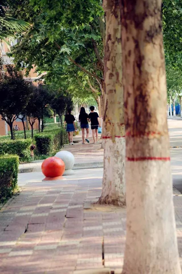 西法大青春力量,西法大