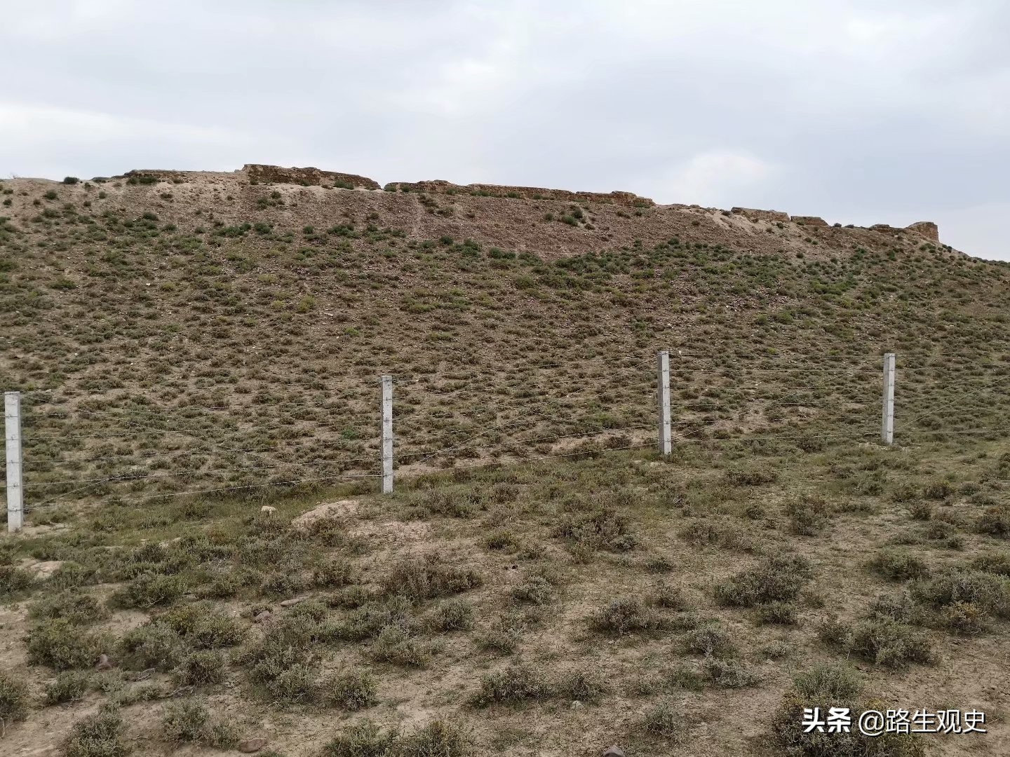 培黎学校是干什么的,培黎学校怎样