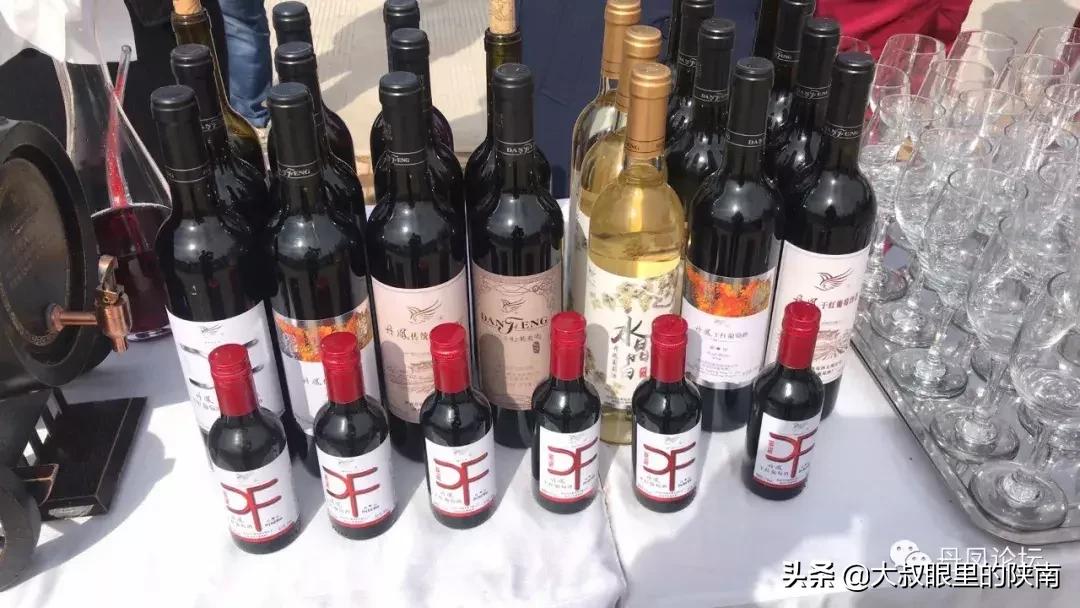 丹凤县七一建党节活动,丹凤建党