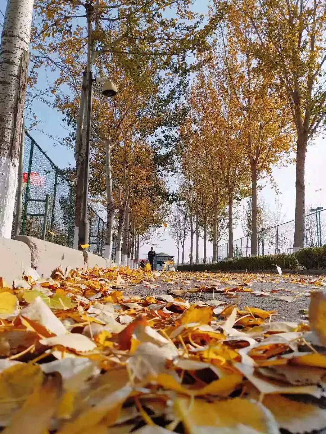 天津市独立院校（四）天津财经大学珠江学院