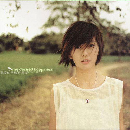 孙燕姿有名吗,孙燕姿算不算漂亮