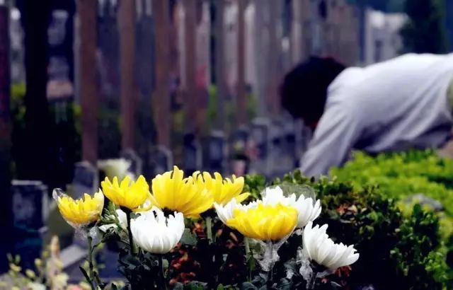 2022上海墓地价格表,上海滨海古园墓地价格表2021