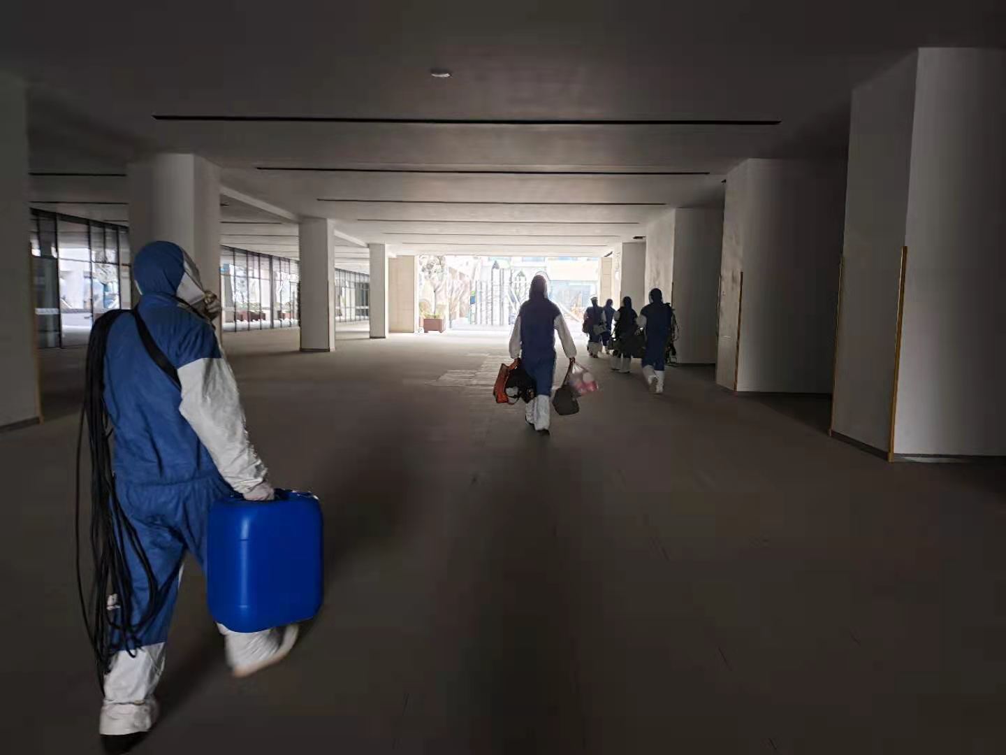 西安灭鼠灭蟑螂除虫,西安灭鼠灭蟑服务