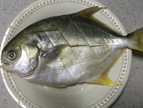 清蒸鲈鱼20元一斤,鲈鱼带鱼金鲳鱼黄花鱼哪个最营养