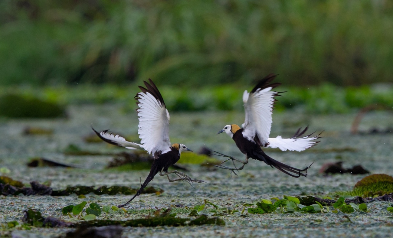 用镜头捕捉瞬间用光影记录感动,用镜头记录人生用心灵感悟美好